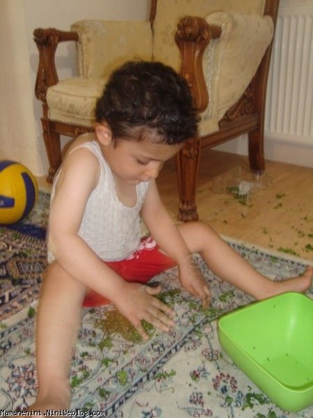 سبزی1