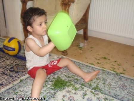 سبزی5