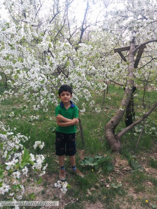 spring