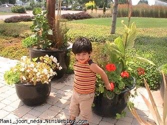 nima joon