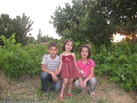 دیانا فائزه علی