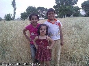 دیانا فائزه محمد رضا توی گندم زار