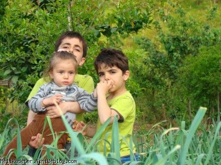 داداشی ها