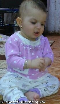 گل دونه اینجا تازه نشستن یاد گرفته بود