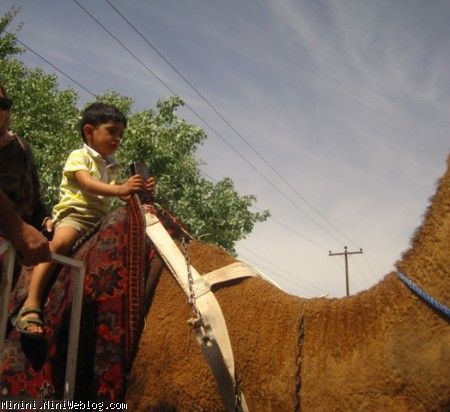 برسام شتر سوار
