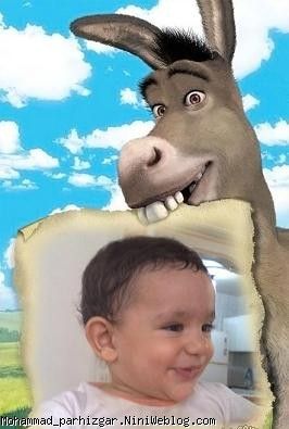 ني ني ناز