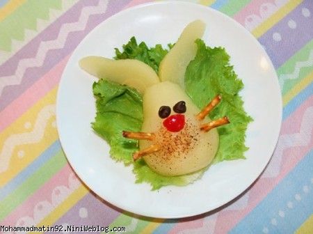 آقا خرگوشه 