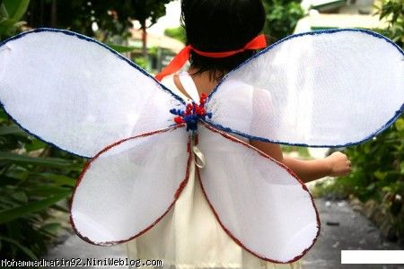 fairy wings