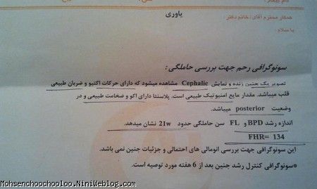 دومین سونوگرافی