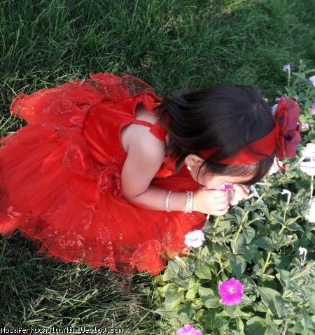 ۴۳ماهگی