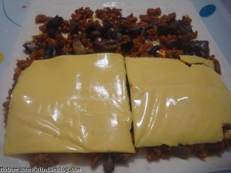 فینگر فود-غذاهای انگشتی