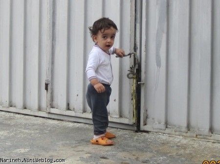  حیاط بابابزرگ ... شمال