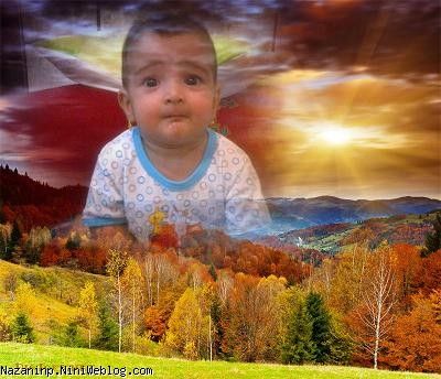 آلبوم