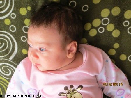 عاشق این نگاهتم ویانای من