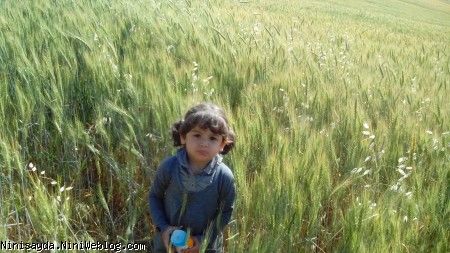 زیباترینم عاشقتم