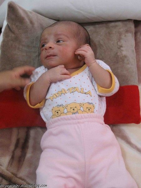 نیایش  6 روزه