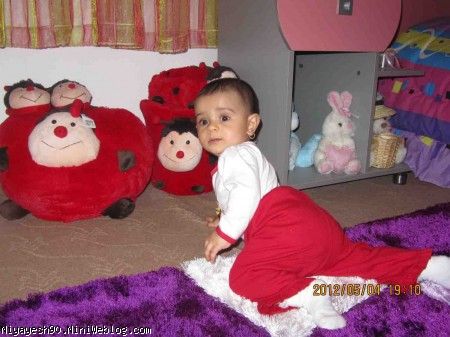 کفشدوزک ها را خیلی دوست دارم