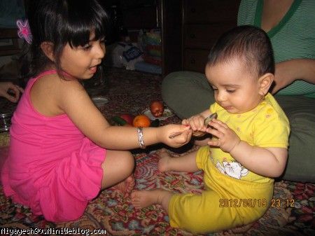 میوه دادن ضحا به من