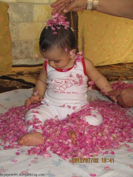 نشستن تو گل محمدی