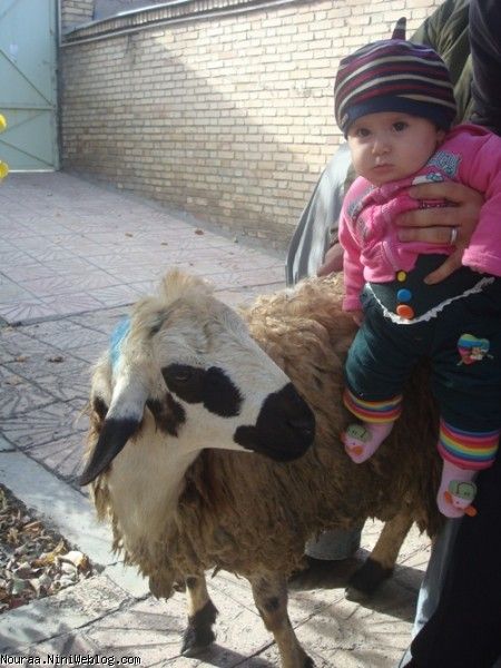 بعبعی دوربینو نیگاه کن