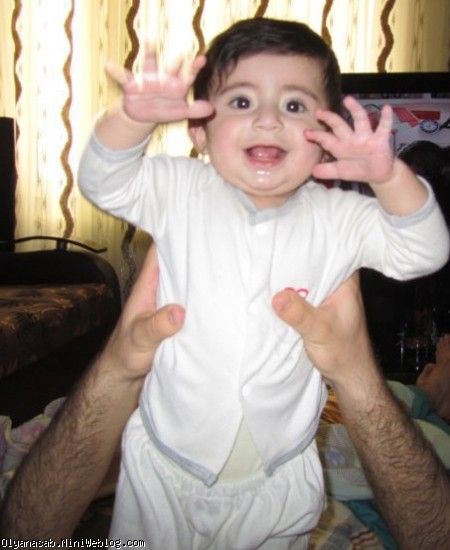 سید محمد طاها