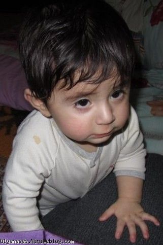 سید محمد طاها