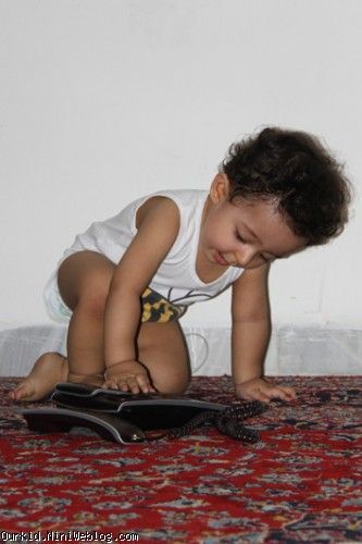 بازی1