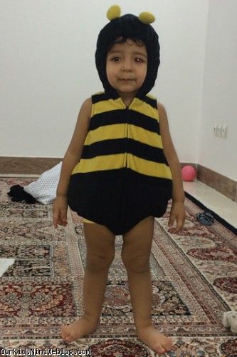 خبر23ماه5
