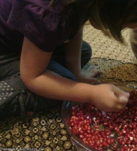 آرشیداوانارخوری