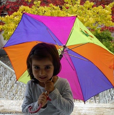 آرشیداوروزپاییزی