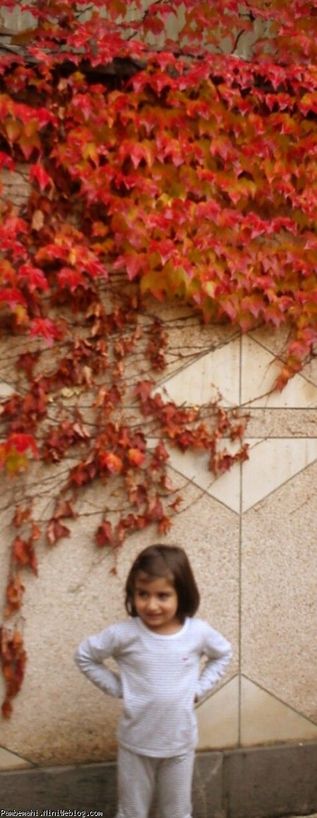 آرشیداوروزپاییزی