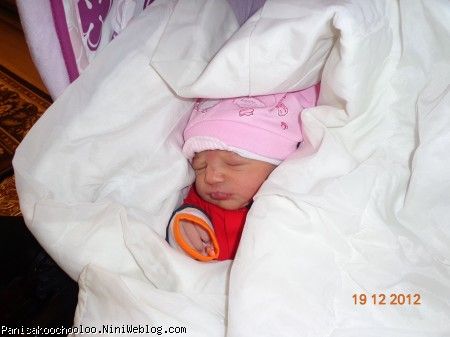 ورود کوچولو به خونمون