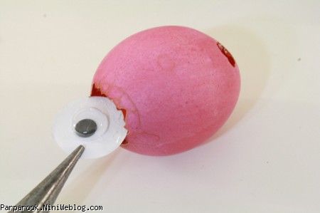 غول&zwnj;چه&zwnj;های یک چشمی