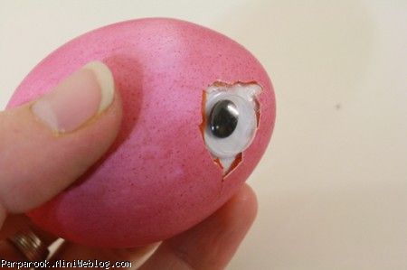غول&zwnj;چه&zwnj;های یک چشمی