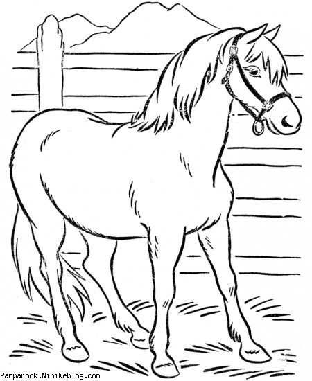 رنگ آمیزی طرح اسب