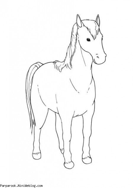رنگ آمیزی طرح اسب
