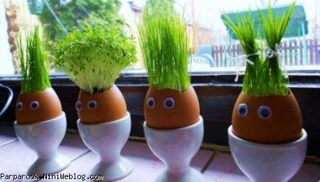 سبزه عید سبزه عید