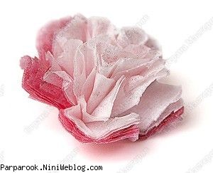 آموزش ساخت گل از دستمال سفره