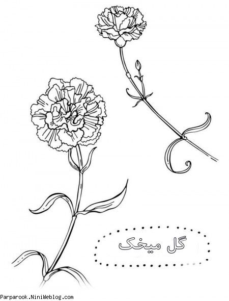 رنگ آمیزی گل میخک