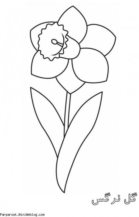 رنگ آمیزی گل نرگس