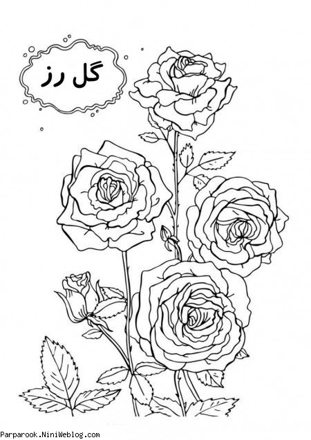 رنگ آمیزی گل رز