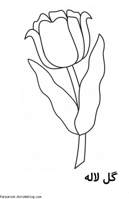 رنگ آمیزی گل