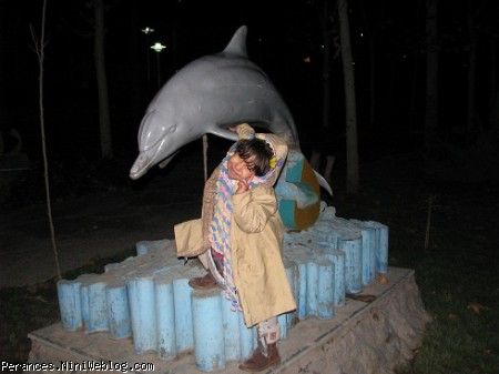 heli va dolfin