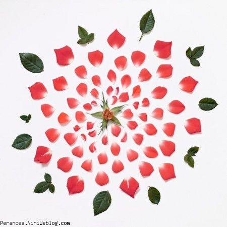برای همه