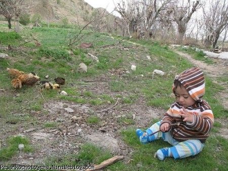 آرشا با جوجه هاش یه روز زیبا در دامن طبیعت