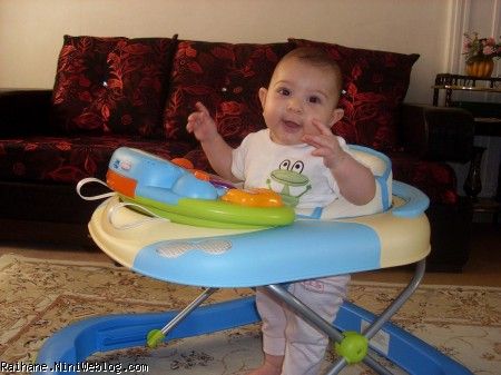 نازی