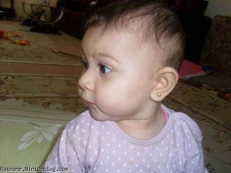گوشواره