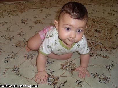 جوجوطلا3