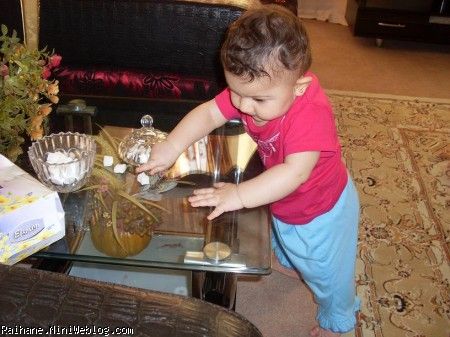 ریحان عسلی