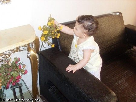 ریحان عسلی
